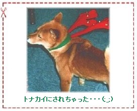 �g�i�J�C�ɂȂ����k�l