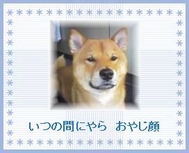 ���̊Ԃɂ��@���₶��