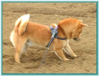 �܂��@���Ă饥�