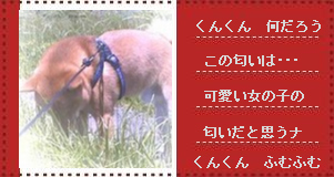 ���񂭂񉽂��ȁH