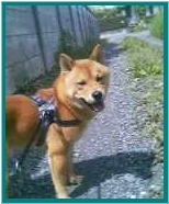 �����s������