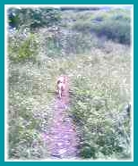 ������Ƒ҂���