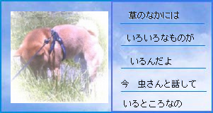 ������Ƃ��b