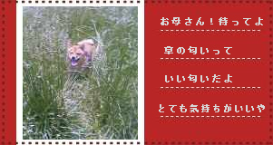 �y����삯���