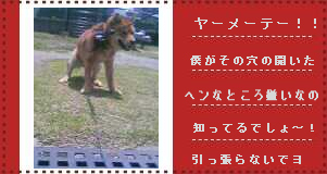 �����ȏꏊ